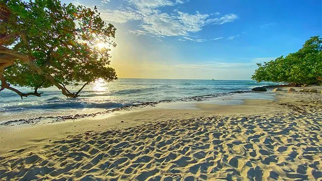 Carter Lumber Yard Rewards beach destination